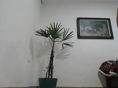 Young handsome online show from September 2025 01:27:01 AM