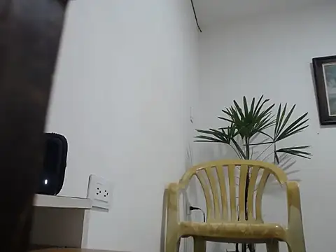 Young handsome online show from September 2025 03:56:02 PM