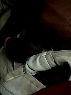 CaramelBrownBBC14 online show from November 2025 07:19:01 AM