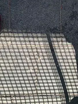 GeilerHSVFAN1989 online show from April 2026 09:01:01 AM