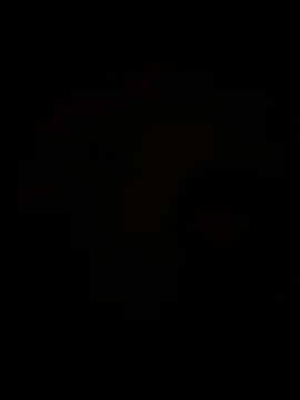 drc0000 online show from May 2026 09:31:02 AM