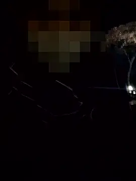 thcn12345 online show from December 2025 10:03:02 AM