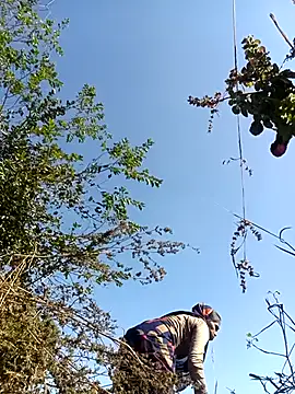 Snapshot of Hot-honi chatting on December 2025 07:35:01 AM Hot-honi online show from December 2025 07:35:01 AM