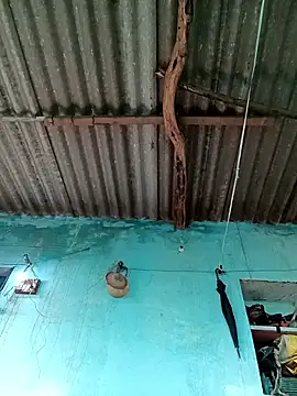 Snapshot of Hot-honi chatting on September 2025 11:48:02 AM Hot-honi online show from September 2025 11:48:02 AM