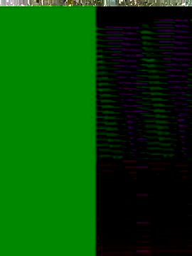 Snapshot of Hot-honi chatting on November 2025 10:19:02 AM Hot-honi online show from November 2025 10:19:02 AM