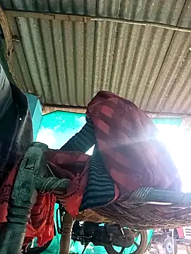 Snapshot of Hot-honi chatting on November 2025 09:46:02 AM Hot-honi online show from November 2025 09:46:02 AM