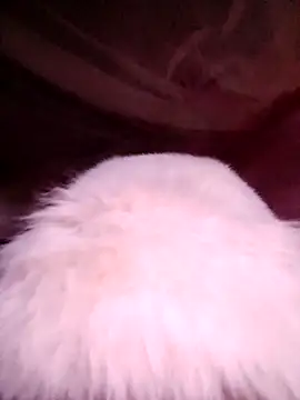 VanGau031694 online show from November 2025 11:52:02 PM