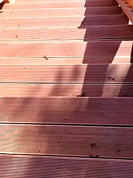 shaoshao-7758 online show from November 2025 02:50:02 AM