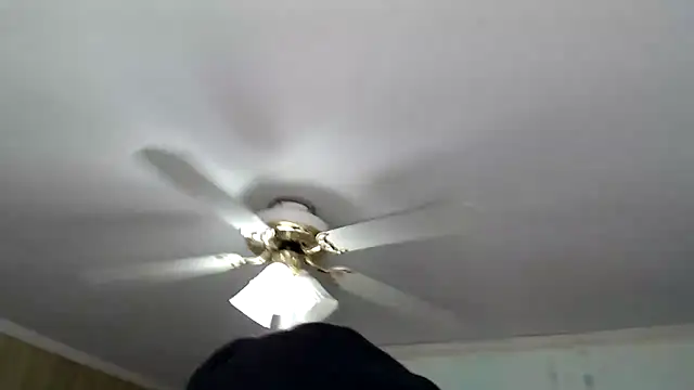 Snapshot of bullmusclejoe chatting on May 2026 10:01:01 PM bullmusclejoe online show from May 2026 10:01:01 PM