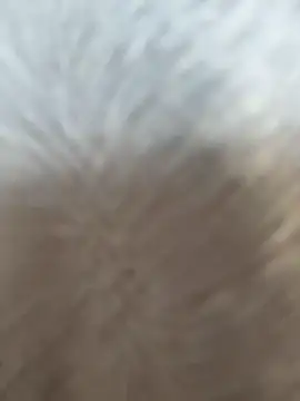 VendiMur online show from March 2026 01:03:01 AM