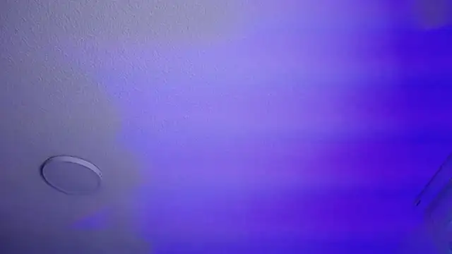  Charlotte Collins  online show from January 2026 02:43:02 PM