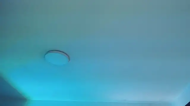  Charlotte Collins  online show from April 2026 02:24:01 PM