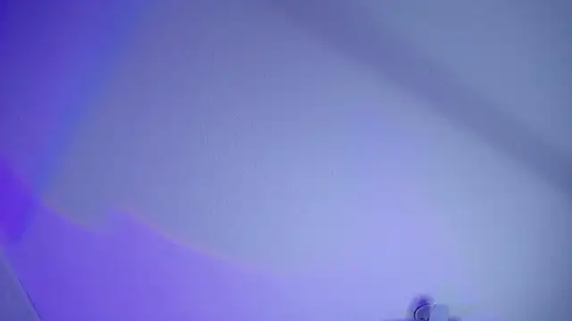  Charlotte Collins  online show from April 2026 01:49:01 PM