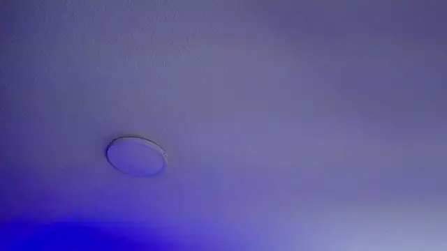  Charlotte Collins  online show from March 2026 02:31:01 PM