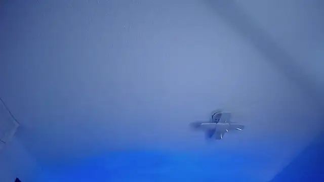  Charlotte Collins  online show from March 2026 02:22:02 PM