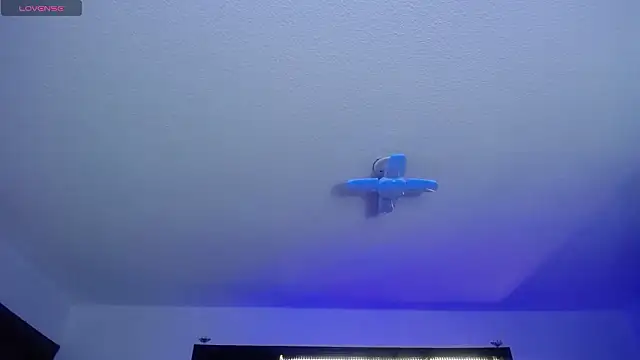  Charlotte Collins  online show from February 2026 02:36:01 PM