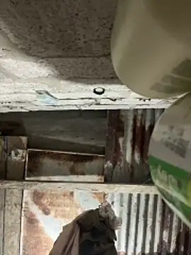 SaraBust online show from April 2026 04:25:01 AM