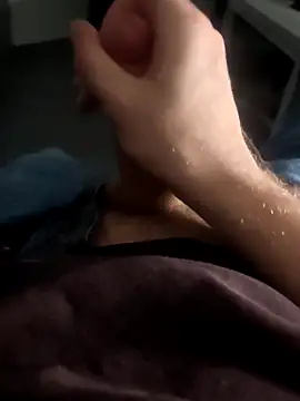 stunning stallion online show from March 2026 12:49:02 AM