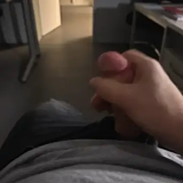 stunning stallion online show from November 2025 05:02:01 PM