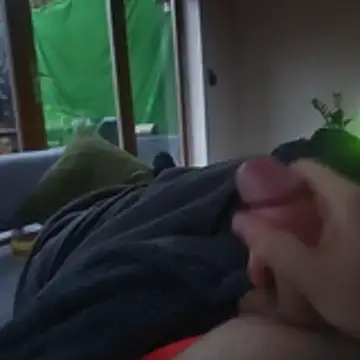 stunning stallion online show from October 2025 04:30:02 PM