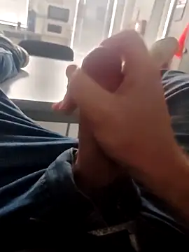 stunning stallion online show from March 2026 04:46:01 PM