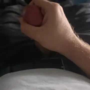 stunning stallion online show from October 2025 09:25:02 PM