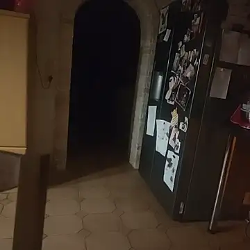 stunning stallion online show from April 2026 12:18:02 AM