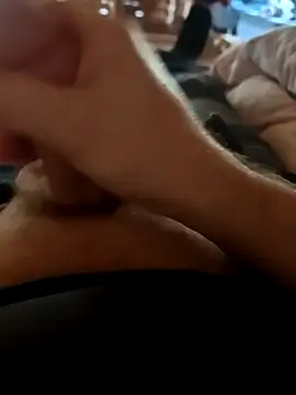 stunning stallion online show from March 2026 10:45:01 AM