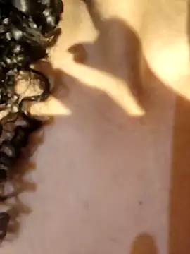 kate lua online show from April 2026 04:30:01 AM