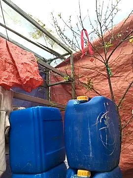 liu-liusexy online show from February 2026 08:22:01 AM