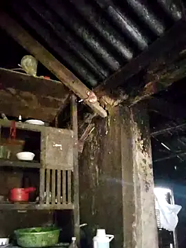 omiu-baby online show from March 2026 12:42:02 AM