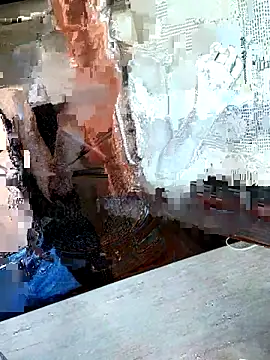 Ariel cp online show from March 2026 01:14:01 PM