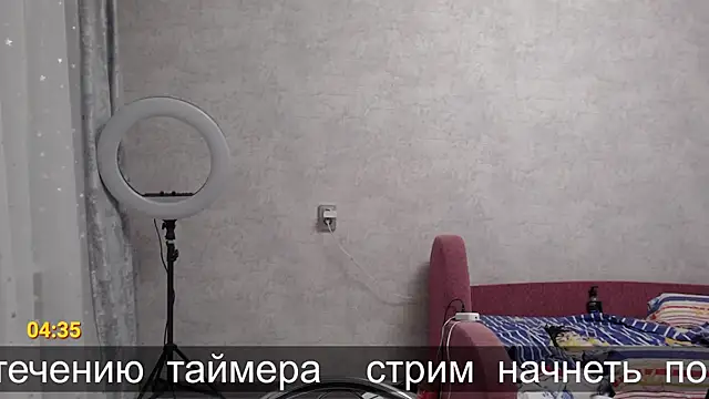 glasses cat online show from November 2025 08:45:02 PM