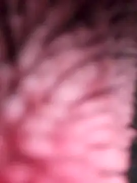 simi-lucy online show from November 2025 01:11:02 PM