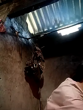 simi-lucy online show from December 2025 05:08:02 AM