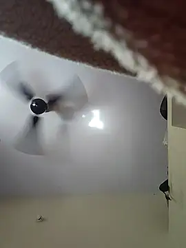 Silk Smitha 27 online show from November 2025 05:34:02 AM