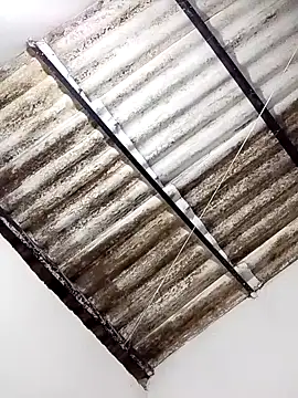 Snapshot of anitotori chatting on October 2025 02:36:02 PM anitotori online show from October 2025 02:36:02 PM