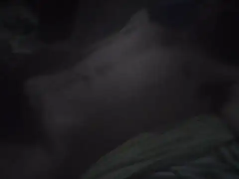 Deivid32t online show from November 2025 02:43:01 AM