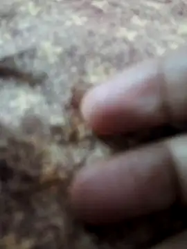 Snapshot of BeautyGirl_sara chatting on February 2026 09:42:01 AM BeautyGirl sara online show from February 2026 09:42:01 AM