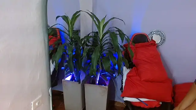 ivy scorpio online show from October 2025 05:50:02 AM