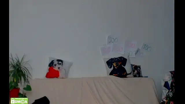 ZeinMiracles online show from February 2026 08:39:01 PM