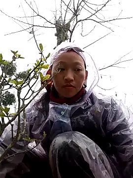 tcm-cute online show from November 2025 08:07:02 AM