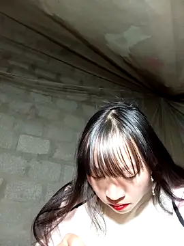 tcm-cute online show from November 2025 12:49:02 PM