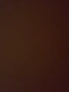  marcellasilva01 online show from September 2025 04:12:02 AM