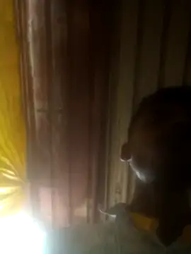 Snapshot of parmila203 chatting on November 2025 07:34:02 AM parmila203 online show from November 2025 07:34:02 AM