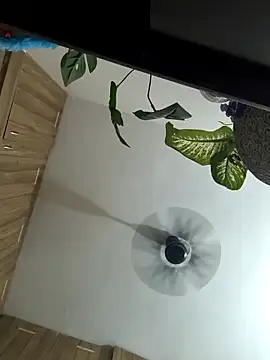 Spoorthi6 Kannada Telugu online show from March 2026 04:32:02 PM