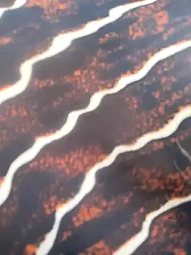 Idhika Handoo online show from February 2026 11:54:02 AM