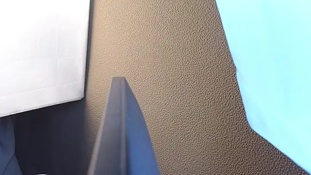 Vina Vision online show from November 2025 12:09:02 PM