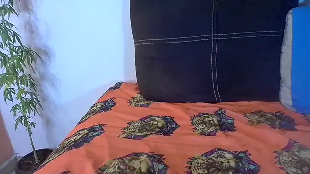 Snapshot of Analvamp chatting on October 2025 04:23:01 AM Analvamp online show from October 2025 04:23:01 AM