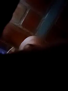 Perropa online show from February 2026 11:40:01 AM